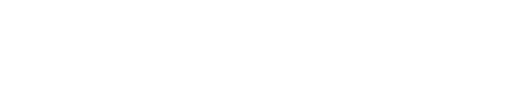 Steinmetz Wiedenmann logo